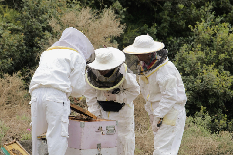 Kalamata: Beekeeping Experience with Honey Tasting