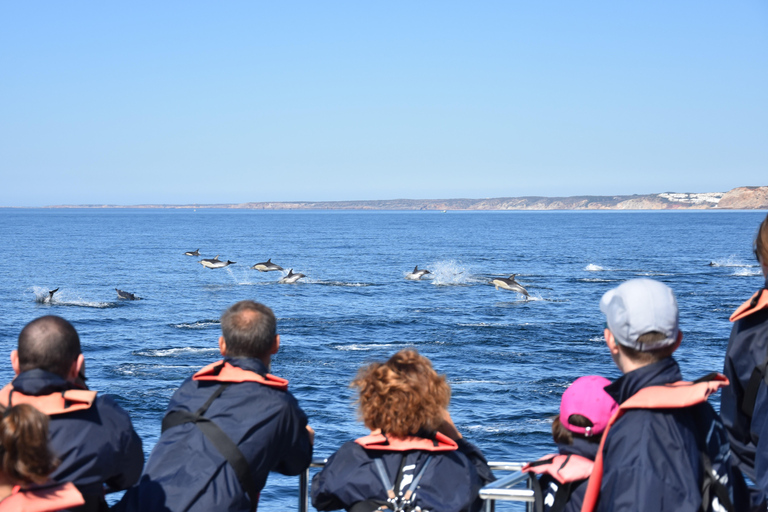 New: Into the Wild - 3H w/Marine Biologists - dolphins &more