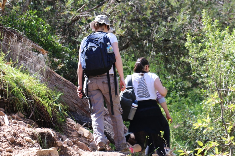 Adelaide: Morialta Wilderness and Wildlife Hike Adelaide: Morialta Wilderness and Wildlife Hike with Lunch