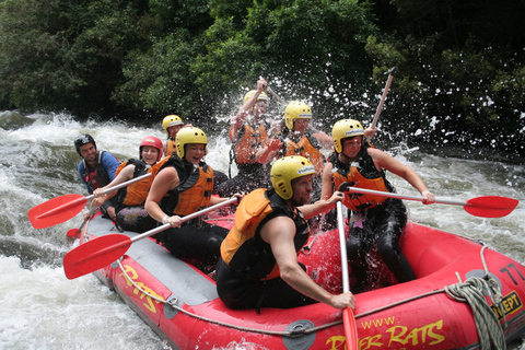 Rangitaiki Rafting Graad 3-4