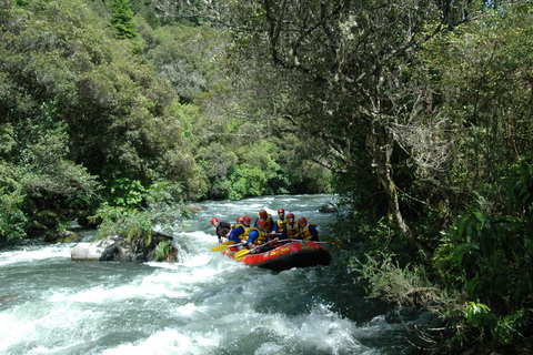 Rangitaiki Rafting Graad 3-4