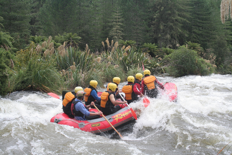 Rangitaiki Rafting Grade 3-4