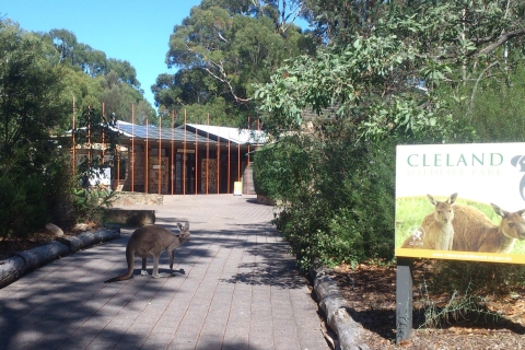 Cleland Wildlife Park Experience met Mount Lofty Summit