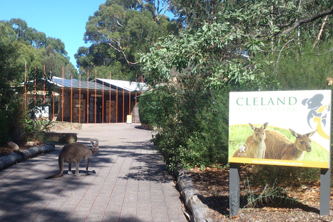 Cleland Wildlife Park Experience con Mount Lofty Summit