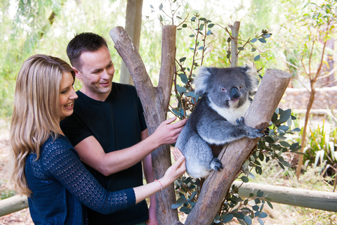 Cleland Wildlife Park Experience met Mount Lofty Summit