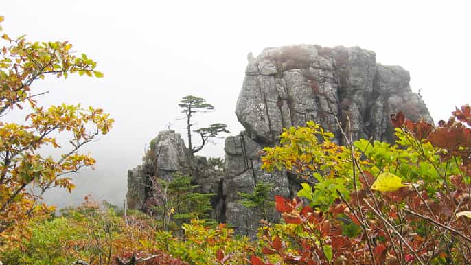 seoraksan national park and naksansa temple group tour