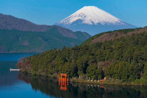 From Tokyo: Mt. Fuji & Hakone Private Day Trip with Driver