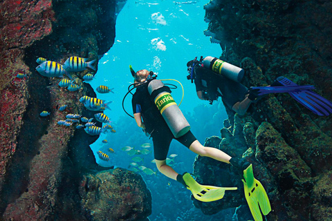 Bayahibe: Catalina Island Scuba Diving Tour with Lunch