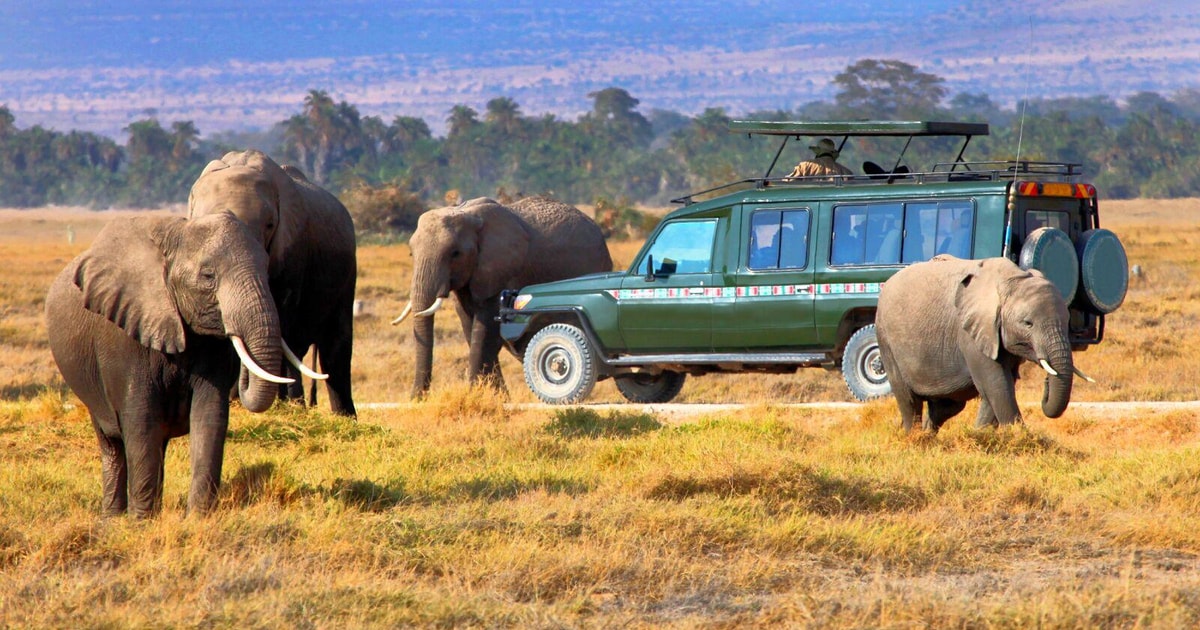 2 Days Masai Mara In a 4x4 Land Cruiser GetYourGuide