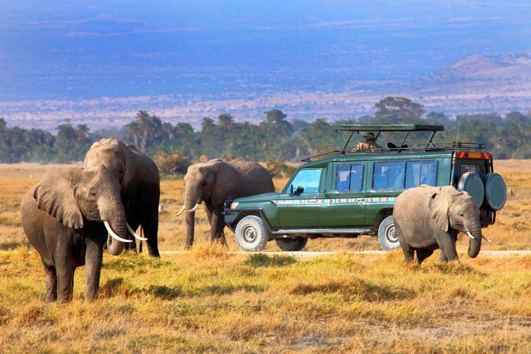 5 Days Group Serengeti, Ngorongoro & lake Manyara Safari