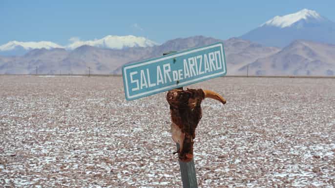 salta 3day safari to the altiplano high desert