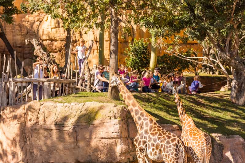 Valencia: Bioparc Valencia Admission Ticket