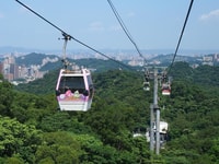 From Taipei, Pinglin Tea Culture and Maokong Guided Day Tour - Housity
