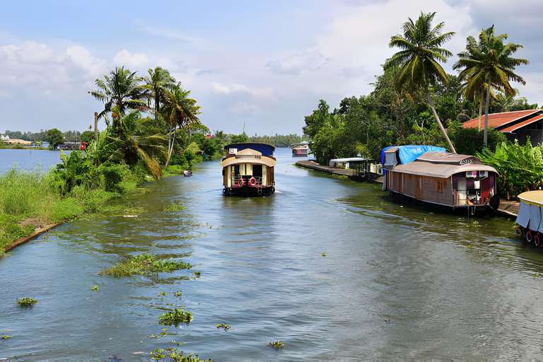 Dagtocht Alleppey met de rondvaartboot vanuit Cochin