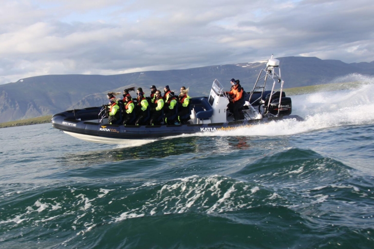 Reykjavik : croisière d’observation de baleines en hors-bord