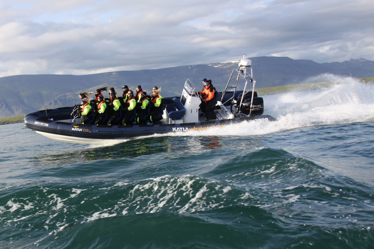 Reykjavik : croisière d’observation de baleines en hors-bord