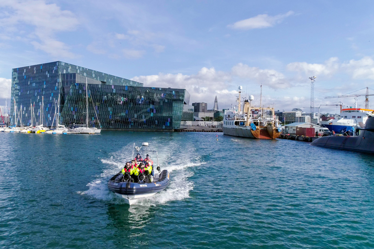 Reykjavik : croisière d’observation de baleines en hors-bord