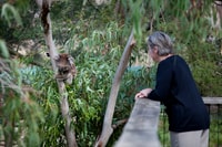 Phillip Island, Penguin Parade et Multi Attraction Pass - Housity