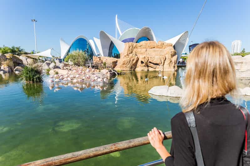 Valencia: ticket de entrada al Oceanogràfic | GetYourGuide