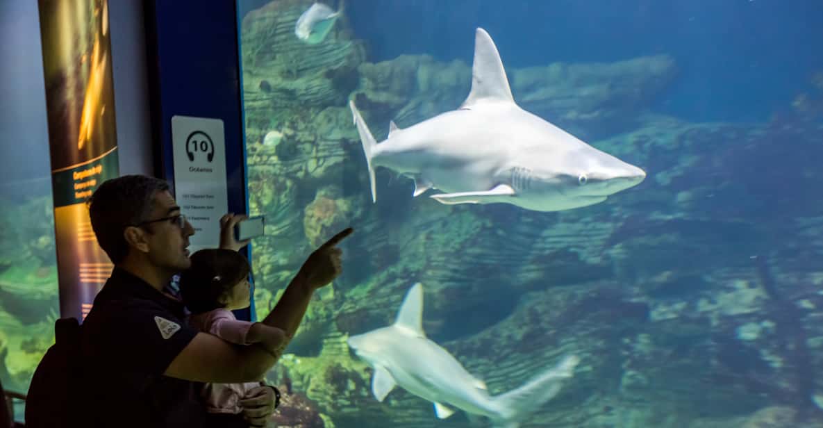 Valencia: Oceanogràfic Ticket