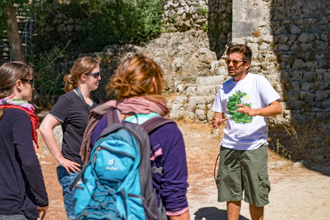 Lizbona: Arrábida Parku i Sesimbra Day TripLizbona: Arrábida Parku i Sesimbra Private Tour