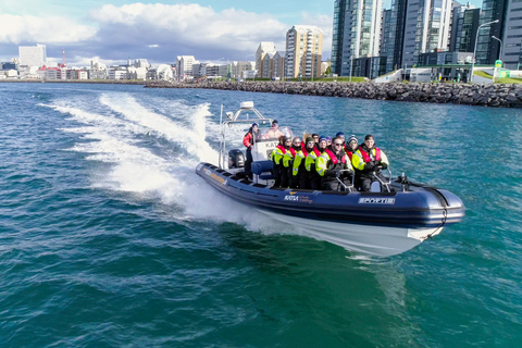 Desde Reykjavik: Tour de avistamiento de ballenas en lancha rápidaDesde Reikiavik: tour de avistamiento de ballenas en lancha motora