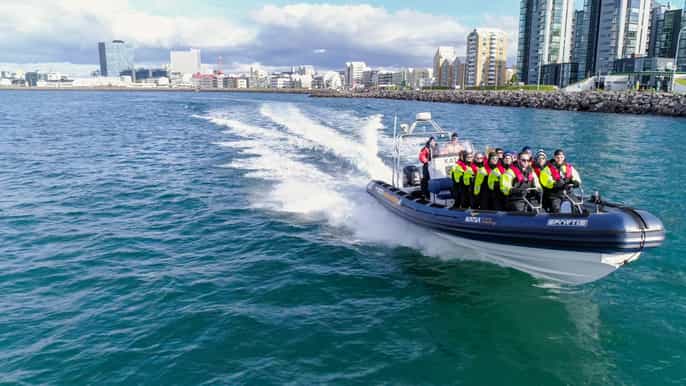 from reykjavik whale watching tour by speedboat