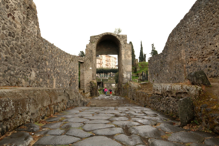 Pompeii 2-Hour Private Tour Pompeii Private Tour