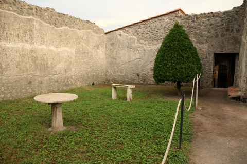 Pompeii 2-Hour Private Tour Pompeii Private Tour