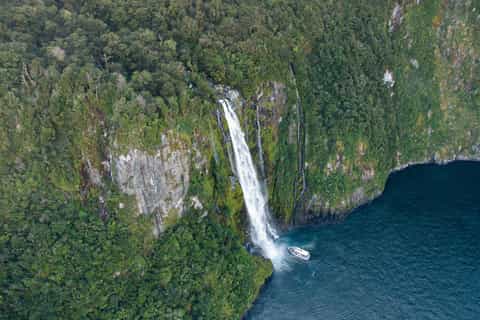 Milford Sound: Cruise, Underwater Observatory, and Lunch