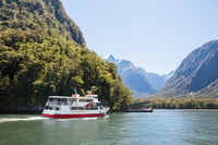 Milford Sound, Cruise e Subwater Observatory - Housity