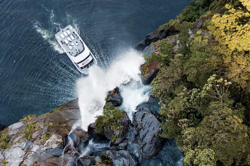 Cruise & Kayak Milford Sound GetYourGuide