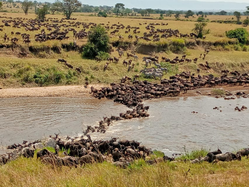 Tage Safari Serengeti Ngorongoro Krater Lake Manyara Getyourguide