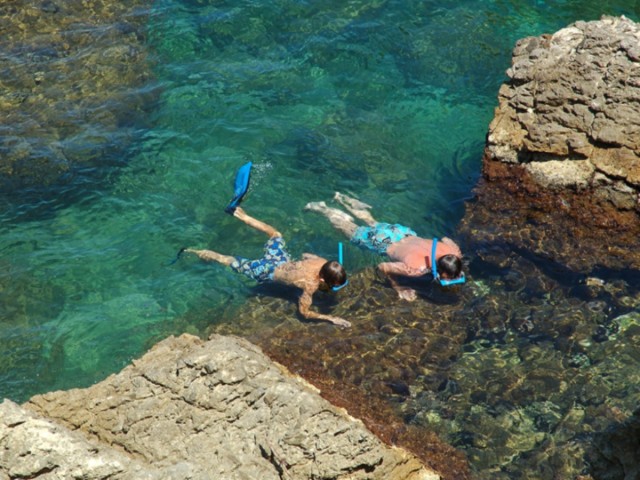 Visit Tossa de Mar Snorkeling Tour in Calella, Spain