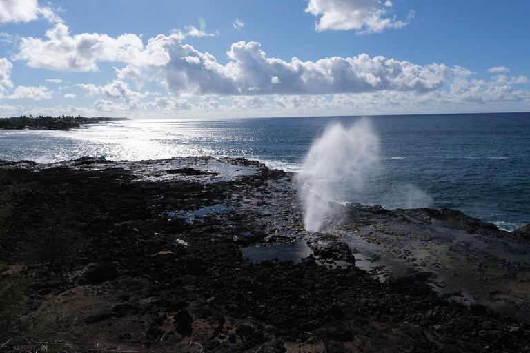 From Oahu: Kauai Waimea Canyon and Koke'e Adventure Tour