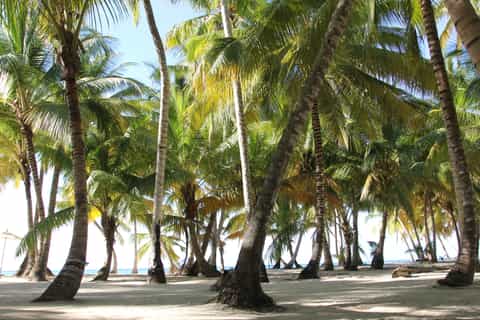 Punta Cana: Saona Island and Altos de Chavón Day Trip
