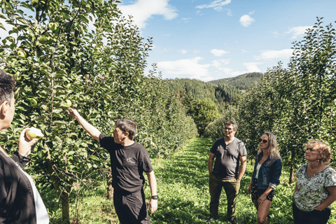 Traditional Cider House Tour | Oiharte, San Sebastián