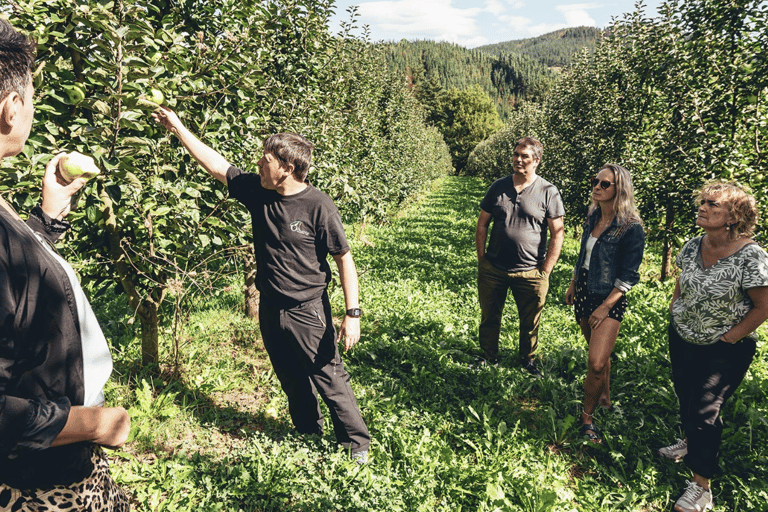 Traditional Cider House Tour | Oiharte, San Sebastián