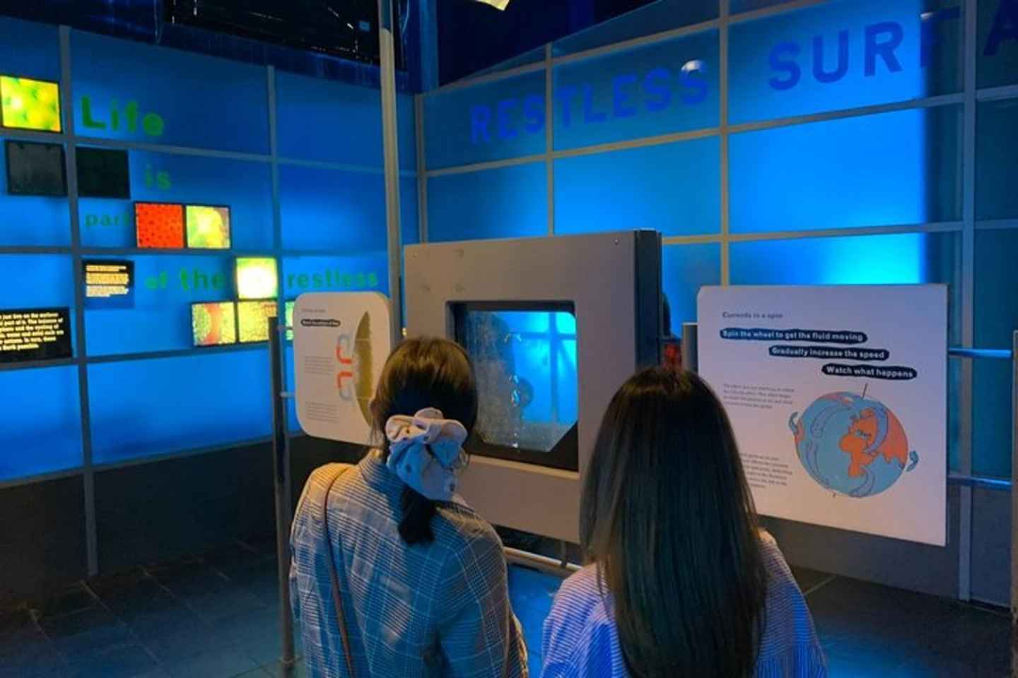 런던: 자연사 박물관 프라이빗 투어 & 줄 서지 않고 빠르게 입장하기