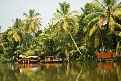 Kochi: excursión especial en tierra Mein Schiff de día completo