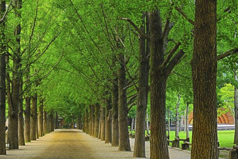 Gapyeong: Highlights Private Car Tour with English Driver Per vehicle(Group of 5-8pax)