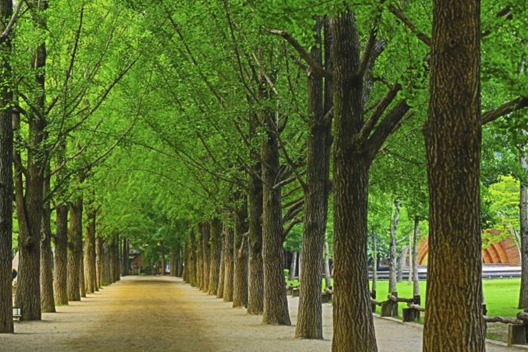 Gapyeong: Highlights Private Car Tour with English Driver Per vehicle(Group of 5-8pax)