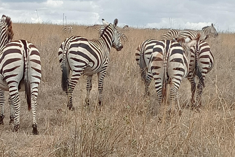 Lake Nakuru National Park from Nairobi