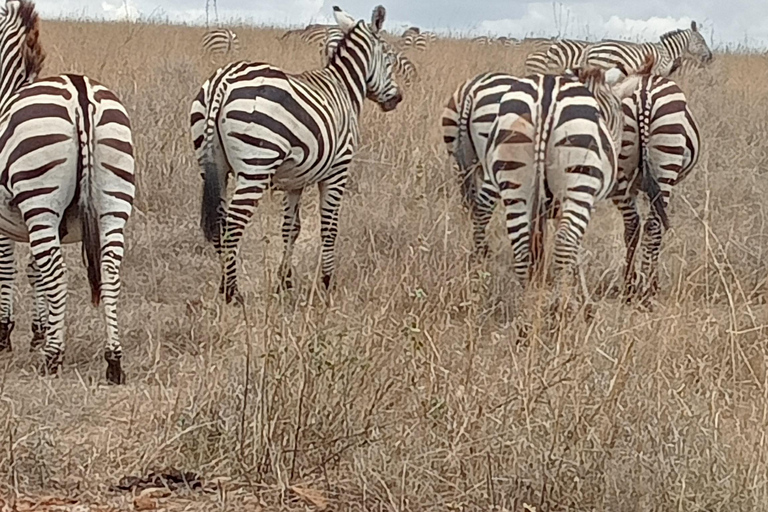 Parque Nacional del Lago Nakuru desde Nairobi