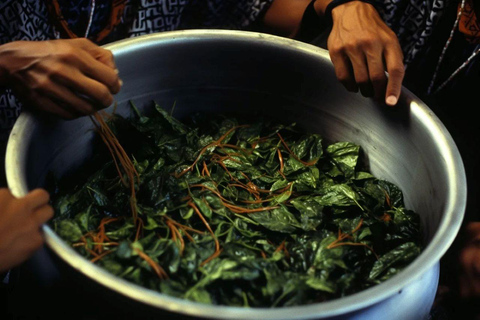 Ayahuasca ceremony in Iquitos