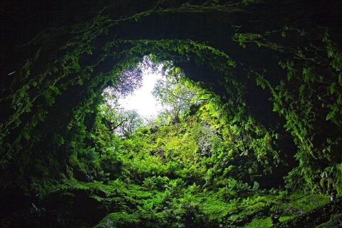 Terceira: tour delle grotte laviche di Algar do Carvão