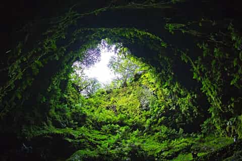Terceira: Algar do Carvão Lava Caves Tour