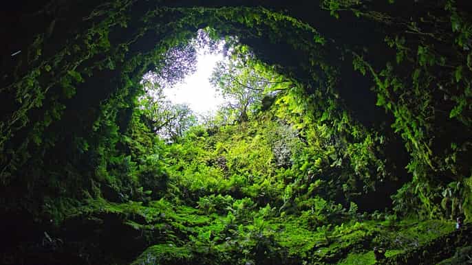 terceira algar do carvão lava caves tour