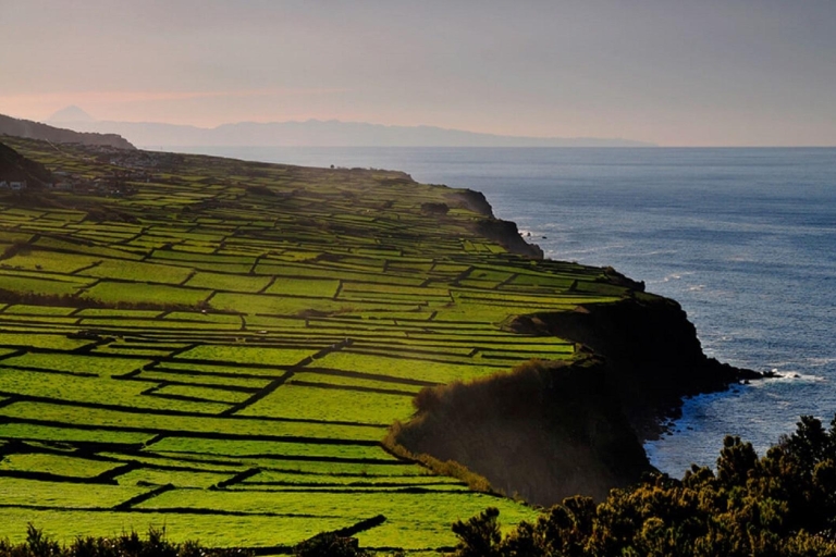 Terceira: Walbeobachtung & Jeep-TourPrivate Walbeobachtung & Jeep-Tour