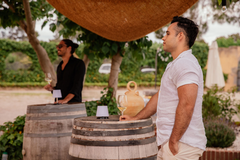 Depuis Barcelone : TARRAGONE Visite guidée et dégustation de vins